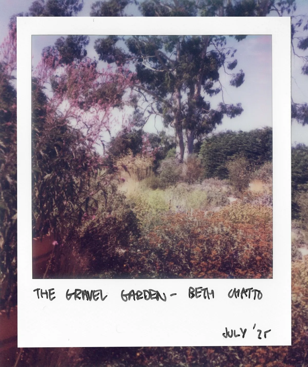 The Gravel Garden at Beth Chatto Gardens, July 2025