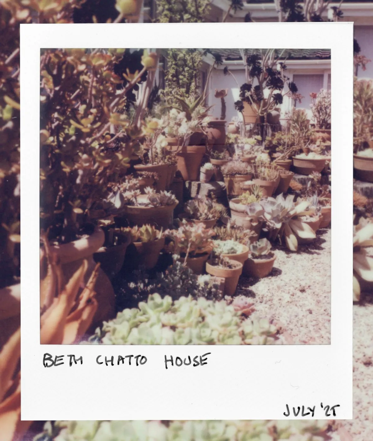Pots outside Beth Chatto's house, July 2025