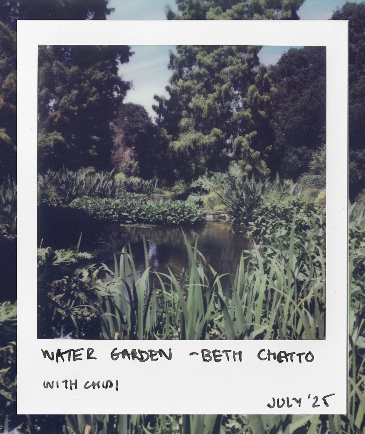 The Water Garden at Beth Chatto Gardens, July 2025