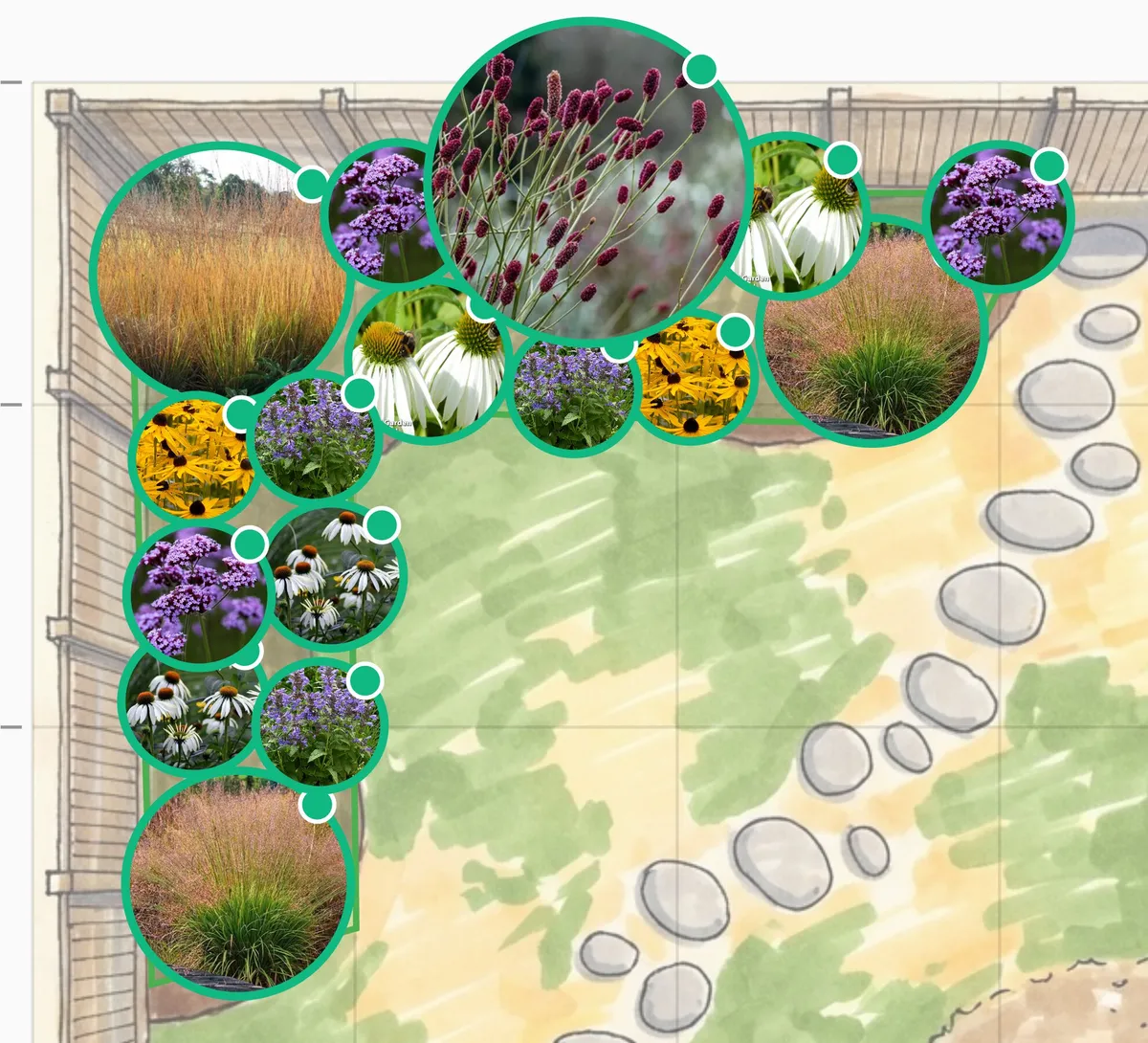 Completed prairie border plan showing plant placement with preview bubbles displaying Molinia grasses, white Echinaceas, golden Rudbeckias, purple Verbena, and Sanguisorba creating layered depth